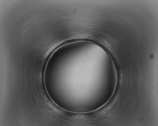 X0000089960834200707061138