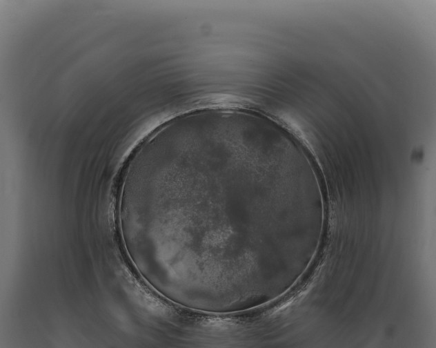 X0000089960835200707061138