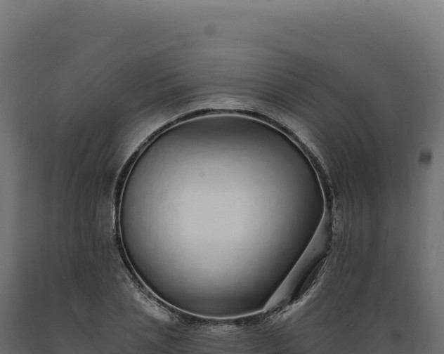 X0000089960837200707061138