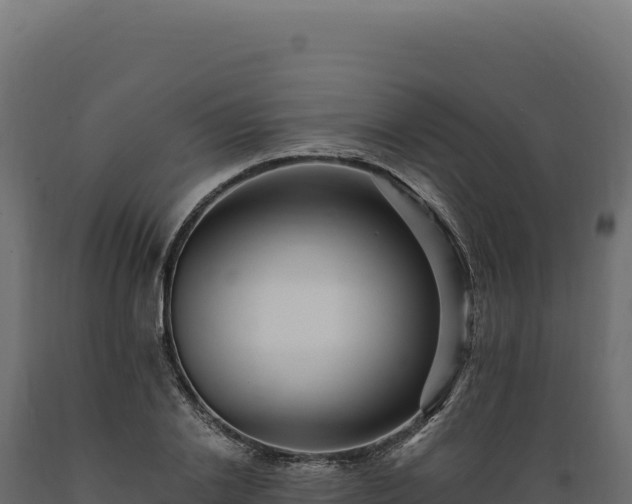 X0000089960838200707061138