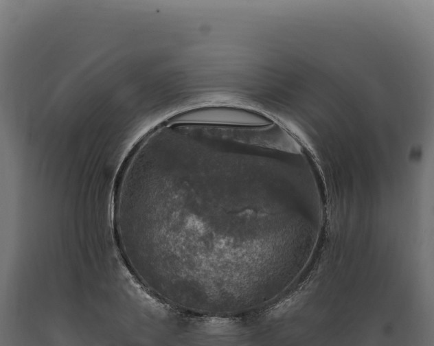 X0000089960839200707061138