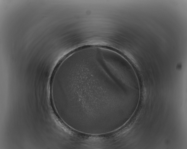 X0000089960840200707061138