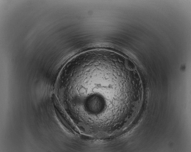 X0000089960841200707061138