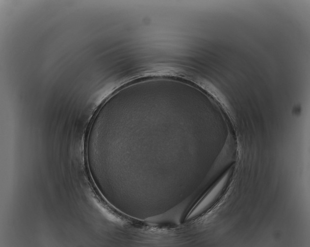 X0000089960842200707061138
