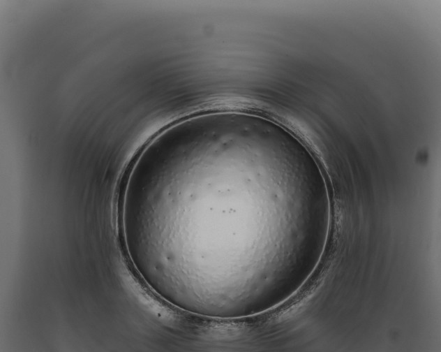 X0000089960843200707061138