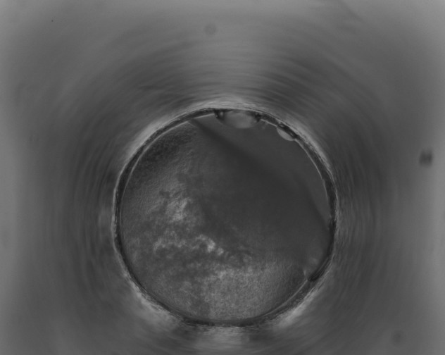 X0000089960845200707061138