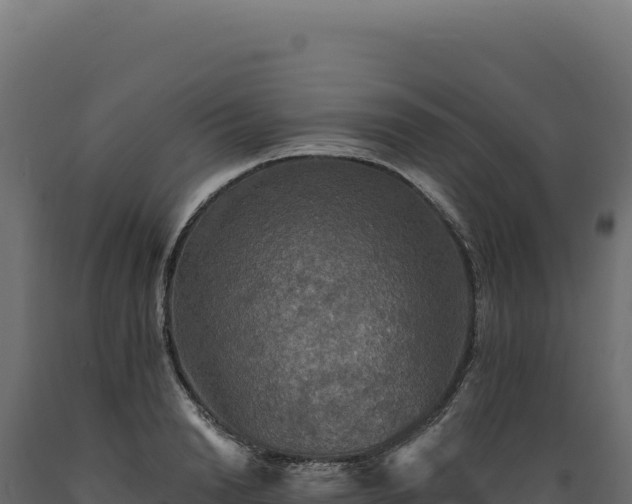 X0000089960846200707061138