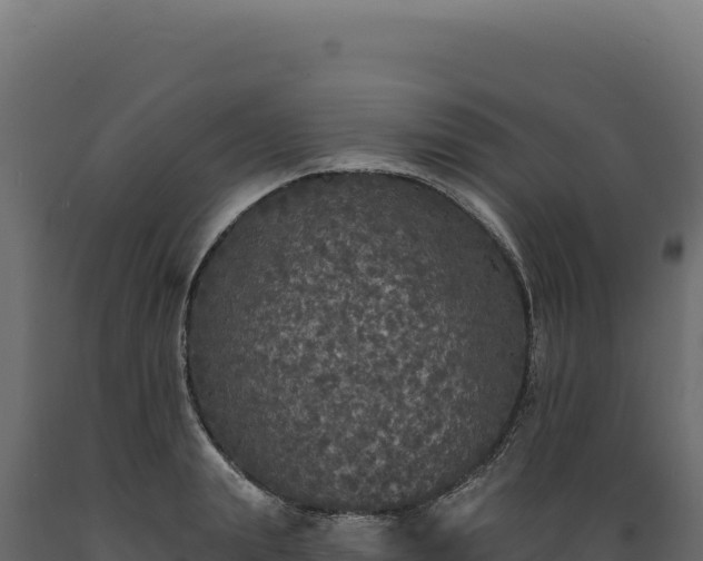 X0000089960847200707061138