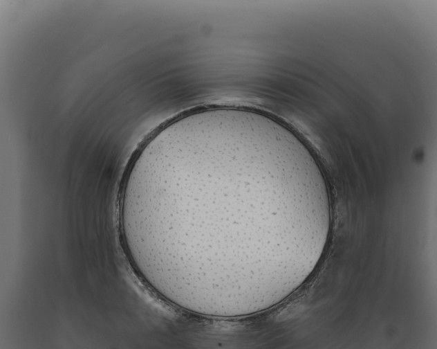 X0000089960848200707061138