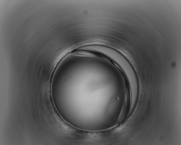 X0000089960850200707061138
