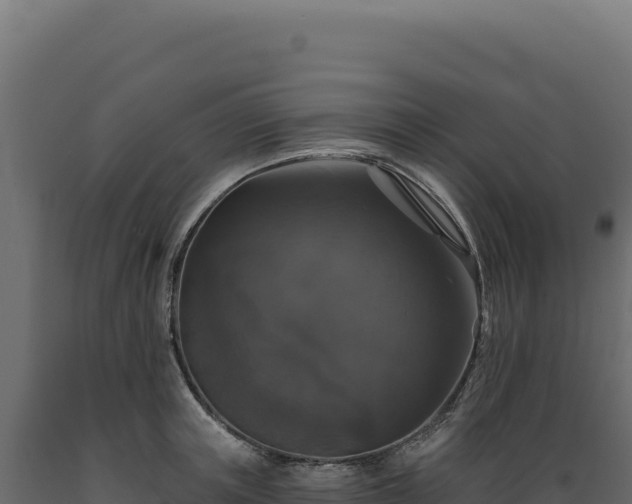 X0000089960851200707061138