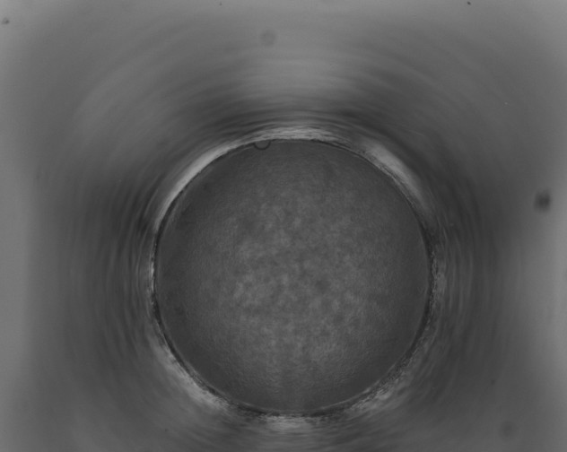 X0000089960852200707061138