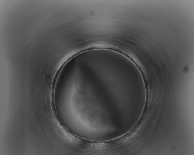 X0000089960853200707061138