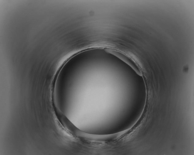 X0000089960854200707061139