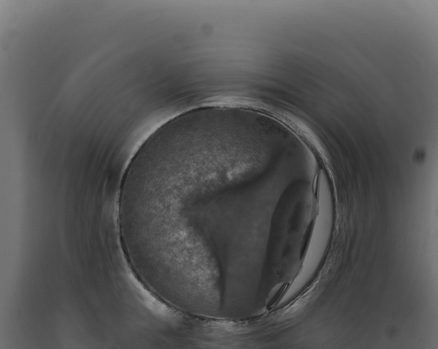 X0000089960855200707061139