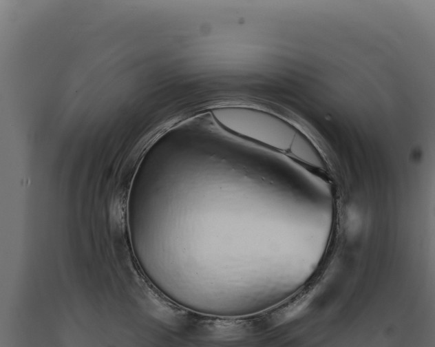 X0000089960857200707061139