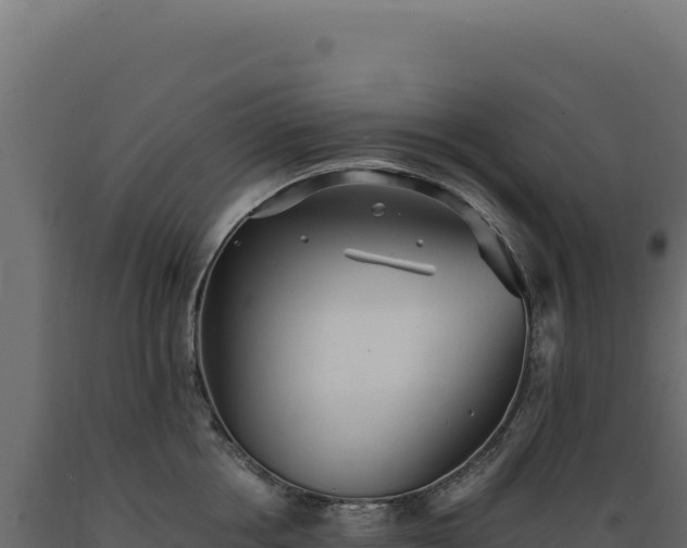 X0000089960858200707061139