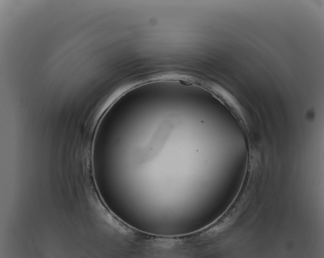 X0000089960860200707061139