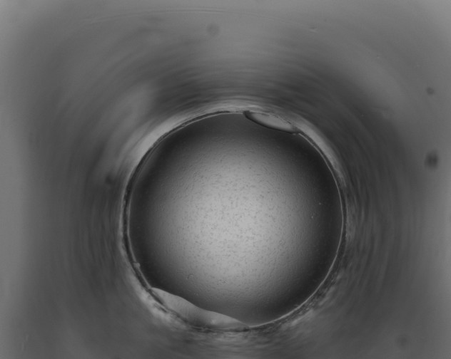 X0000089960861200707061139