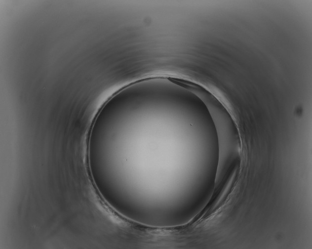 X0000089960862200707061139