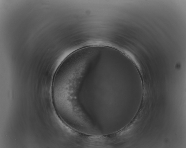 X0000089960863200707061139