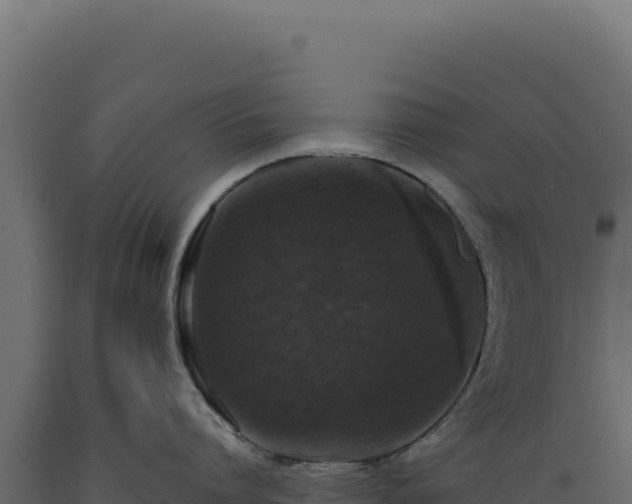 X0000089960864200707061139