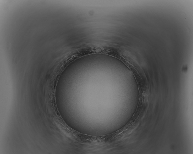 X0000089960865200707061138