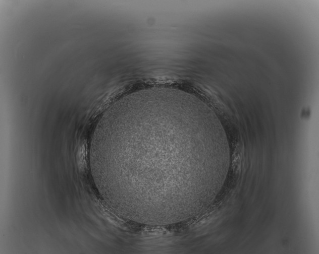 X0000089960866200707061138