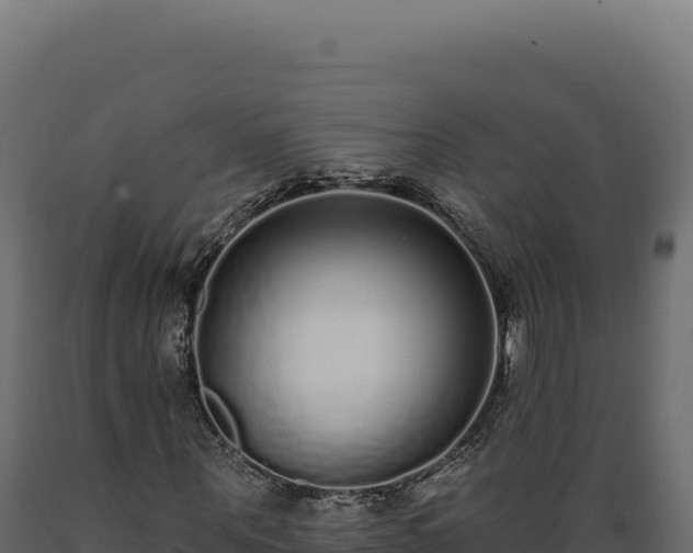 X0000089960867200707061138
