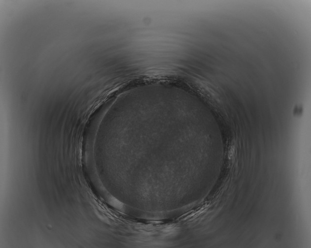 X0000089960868200707061138