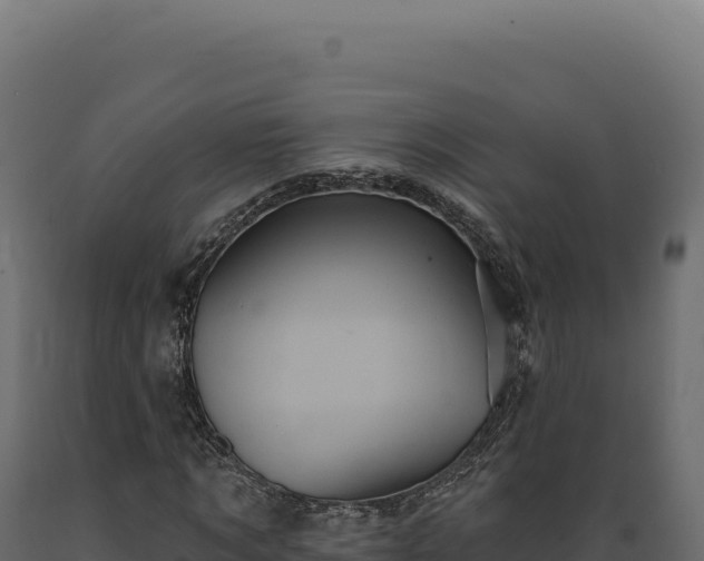 X0000089960869200707061138