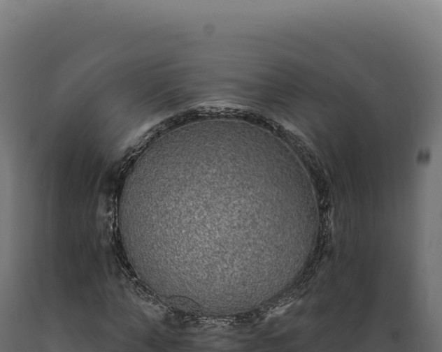 X0000089960870200707061138
