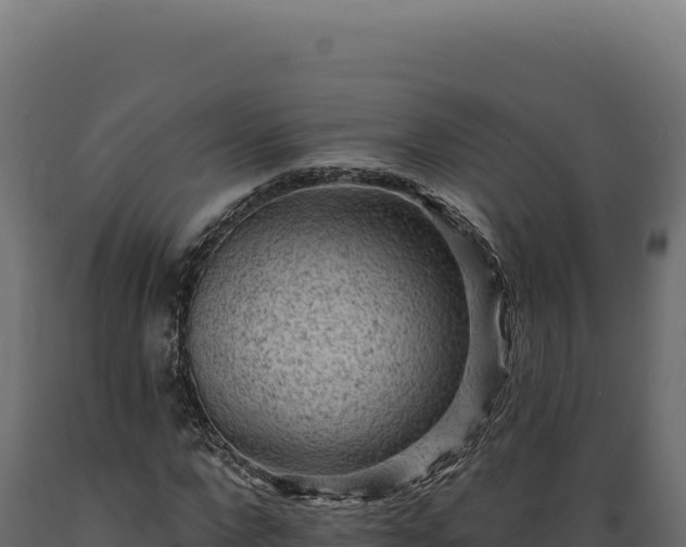 X0000089960872200707061138
