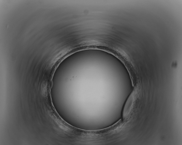 X0000089960873200707061138