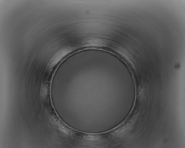 X0000089960874200707061138