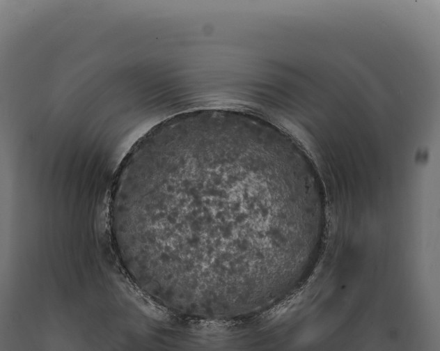 X0000089960875200707061138