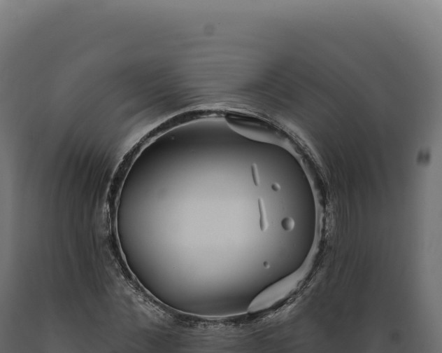 X0000089960876200707061138
