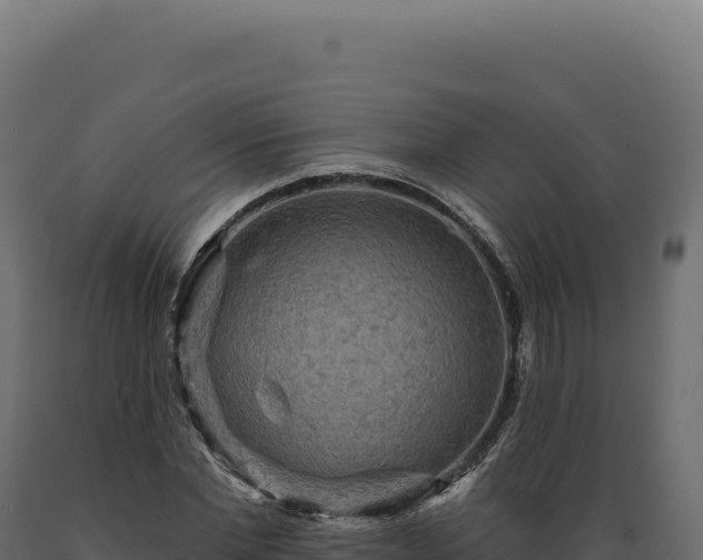 X0000089960877200707061138
