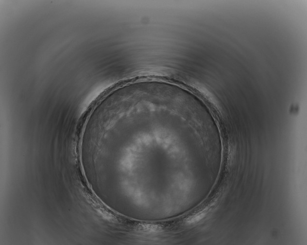 X0000089960878200707061138