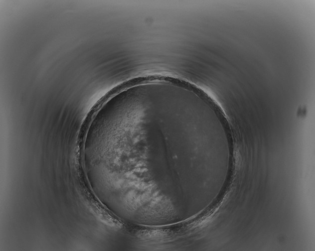 X0000089960879200707061138