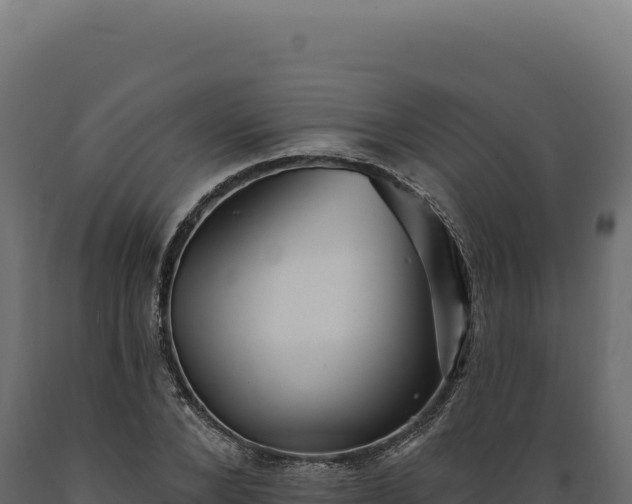 X0000089960880200707061138