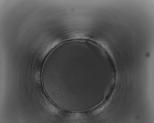 X0000089960881200707061138