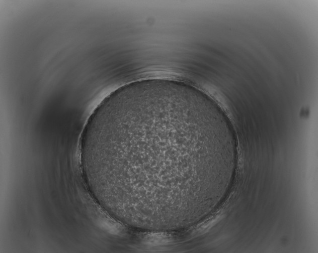 X0000089960883200707061138