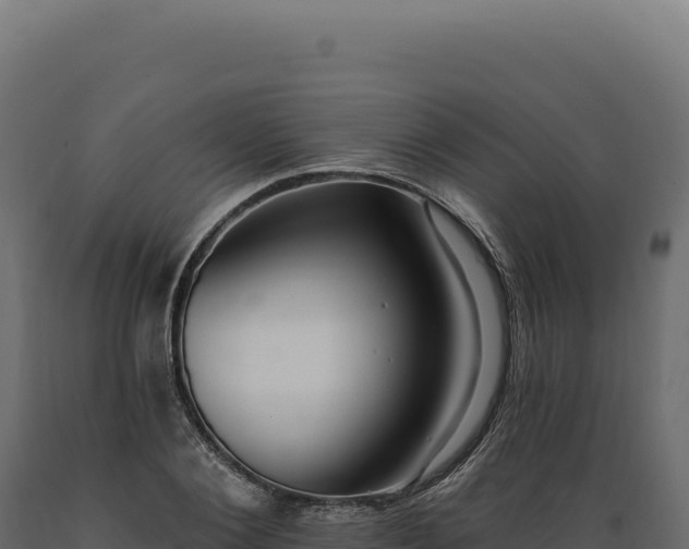 X0000089960884200707061138