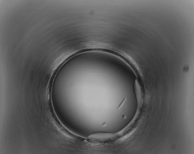 X0000089960885200707061138