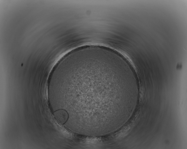 X0000089960887200707061138