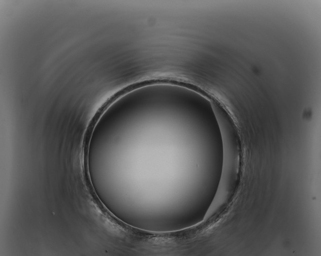 X0000089960888200707061138