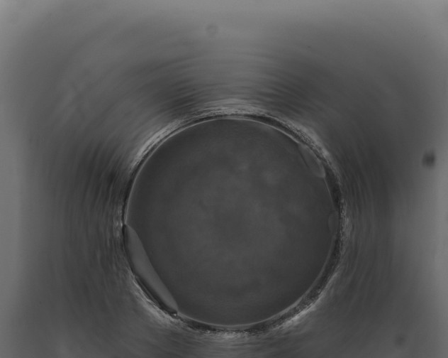 X0000089960889200707061138