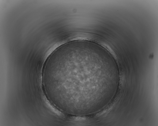 X0000089960890200707061138