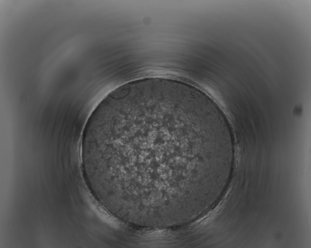 X0000089960891200707061138